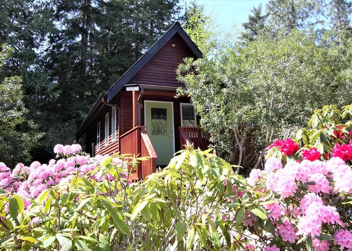 Great Cabin In Close To Walking Trails And Beaches - 13T