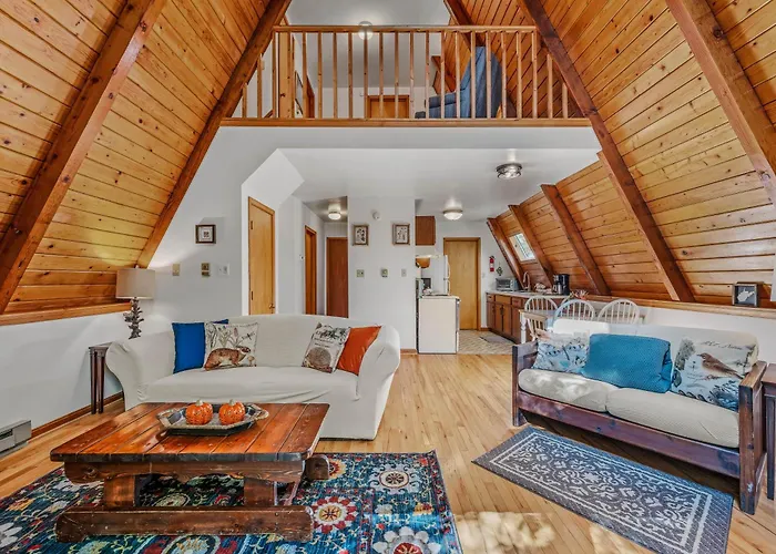 Cozy - Experience It All