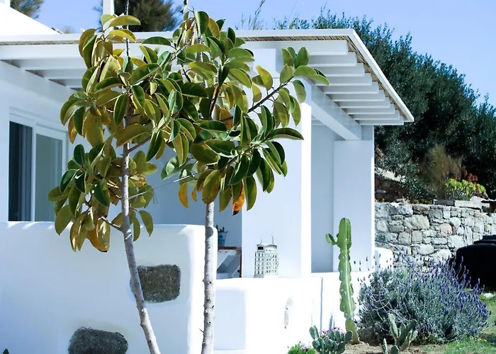The Elaia House Mykonos