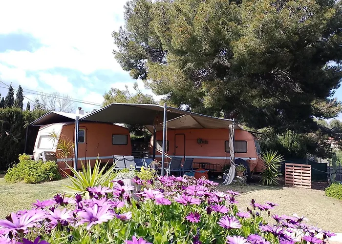 Caravana- Glamping Casa Tortuga