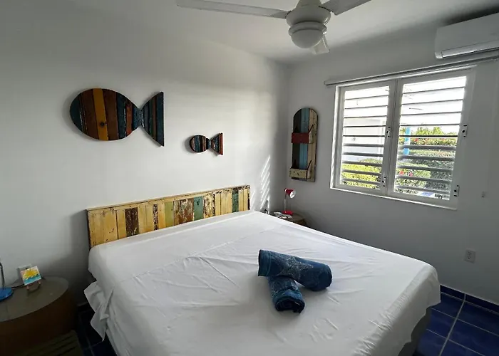 Marazul Dive Resort. 3 Bedroom Seafront House. Dive, Snorkel, Enjoy Amazing Sunsets