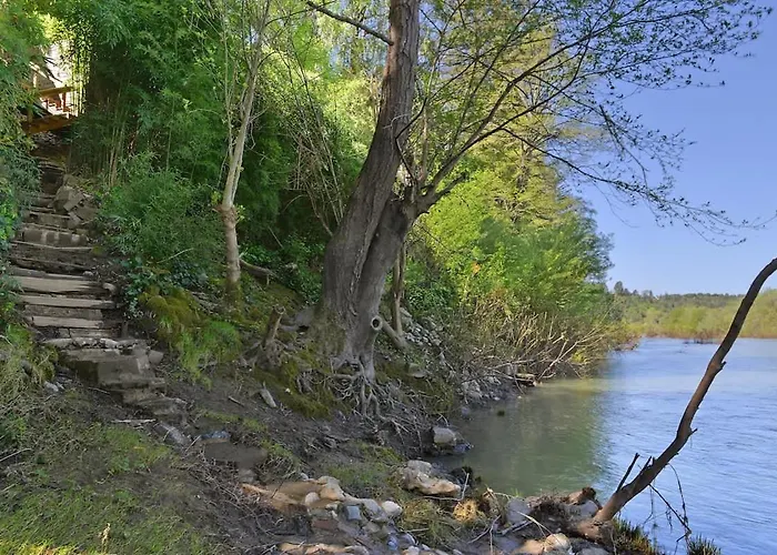 Serene Riverfront Cottage In Healdsburg Views Kayaks 1 5 Mile To Downtown