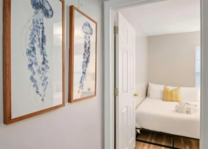 The Suite Carolinas