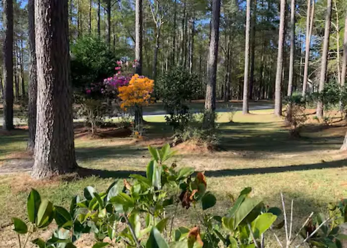 Georgia'S Nature Retreat On Old Mill Pond