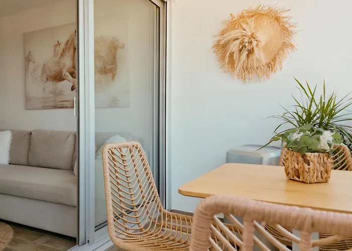 Sable & Pampas - Meuble De Tourisme 5 Etoiles - Vue Panoramique & Terrasse - Climatisation - Plage A 200M