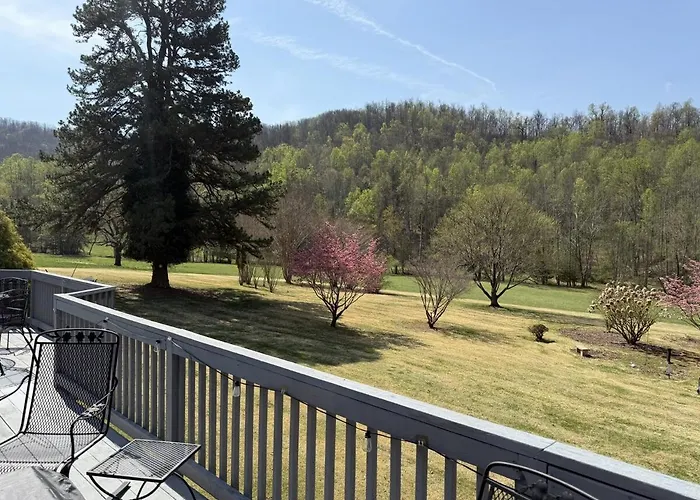 Three Springs Plus