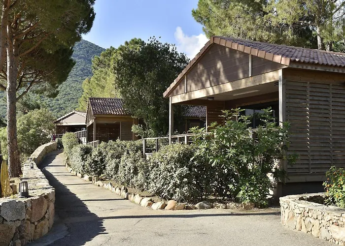 Group Stay Near Sea In Propriano