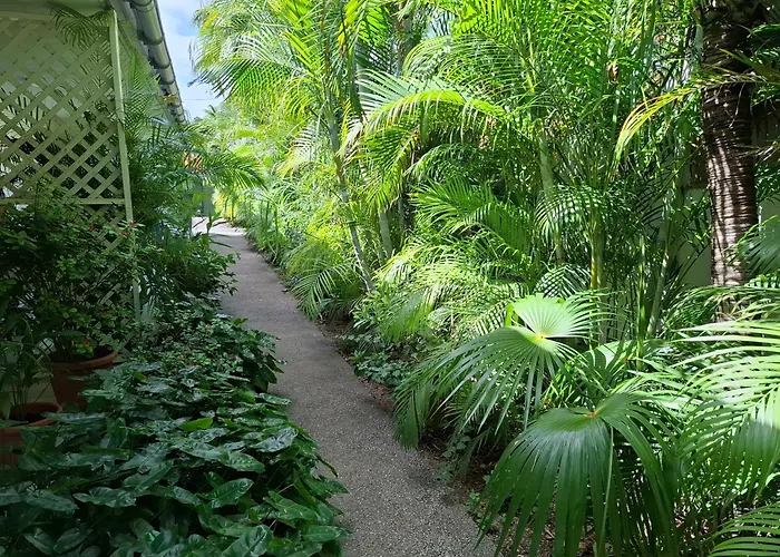 Tropical Palm Retreat