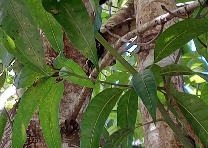 Paraiso Nas Ferias