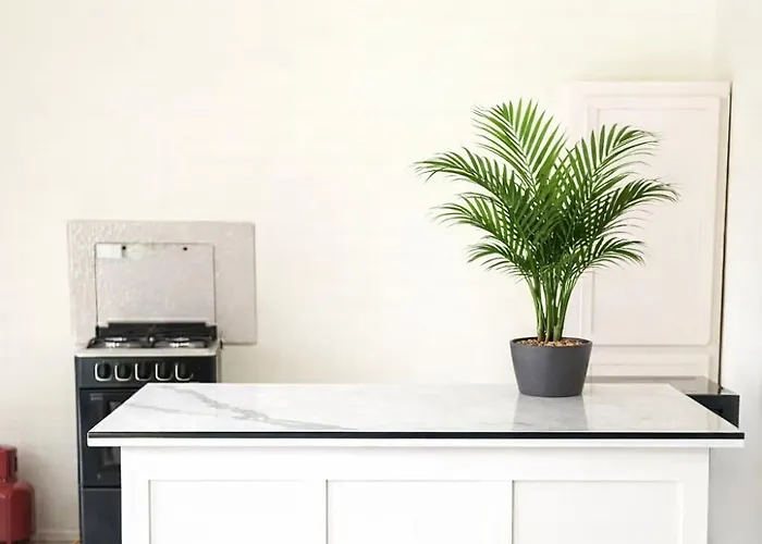Pink Poui Spaces Vacation Rentals