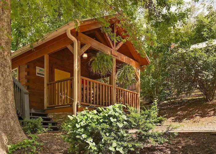 Ani Cabin Tiny Home Bordered By National Forest