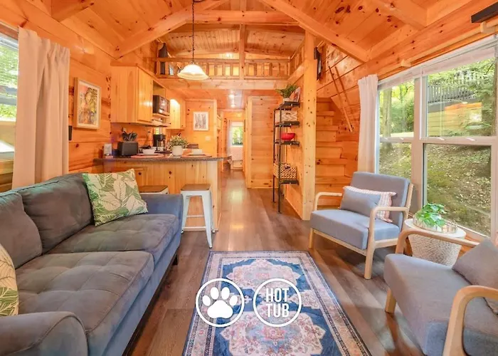 Ani Cabin Tiny Home Bordered By National Forest