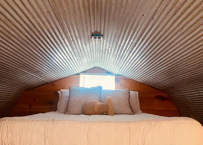 Cozy Little Cabin