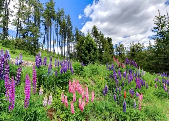 Lovely Family Cabin Rental For An Outdoor Getaway Near Whitefish, Montana
