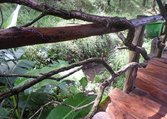 Moon Plains Forest Log