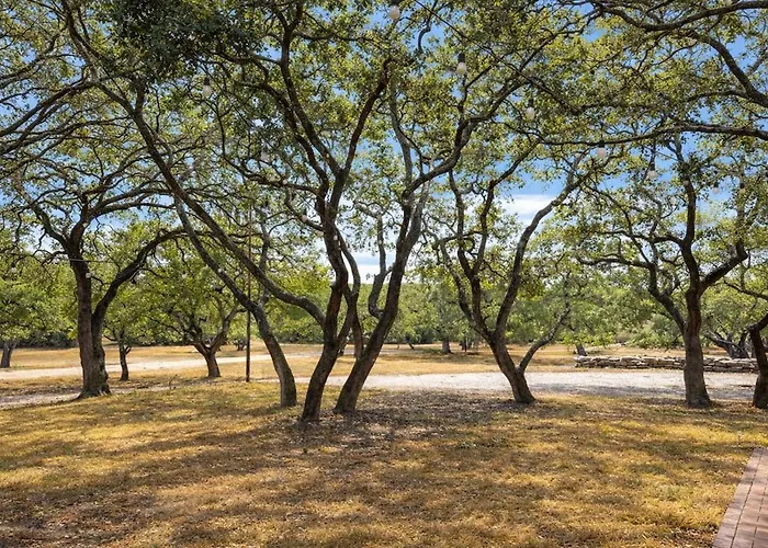 Boerne Modernist Ranch