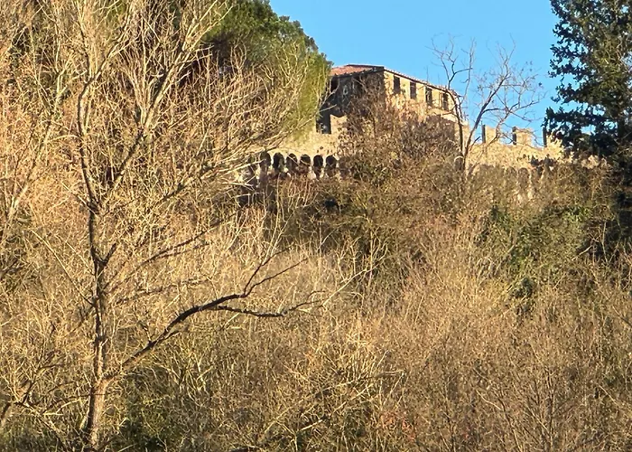 Ca Turi Sarzana