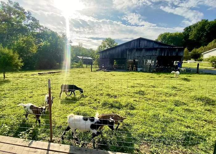 Creekside A-Frame Retreat With Treehouse Views, Hammock Lounge & Indoor-Outdoor Shower In New Port, Tennessee