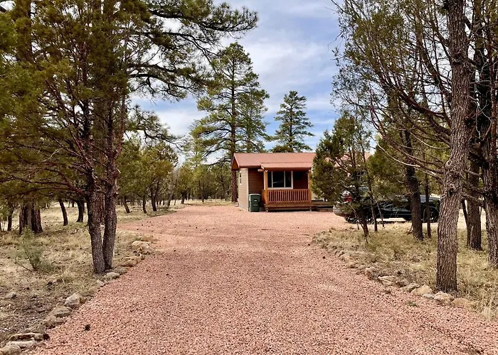 Cozy 2Br Updated Cabin In The Pines, Happy Jack