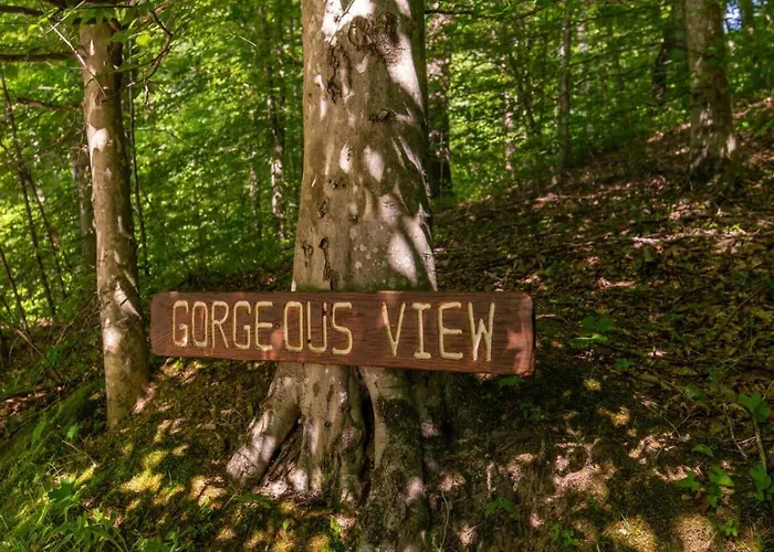 Gorgeous View Cabin-Pet Friendly, Hot Tub, Firepit