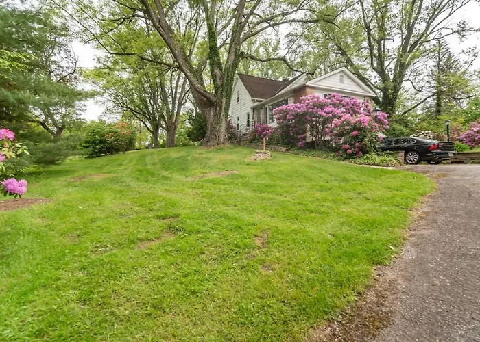 Novelty Wooded Retreat