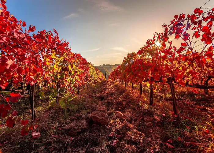 Agriturismo Il Segreto Di Pietrafitta