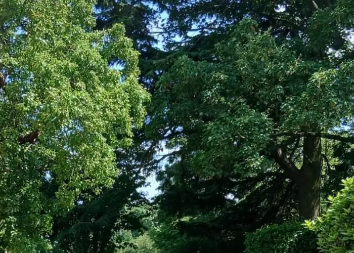 Ingon Bank Farm Bed And Breakfast