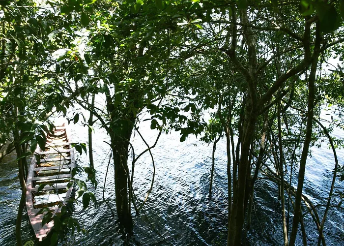 Vista do Lago Jungle Lodge
