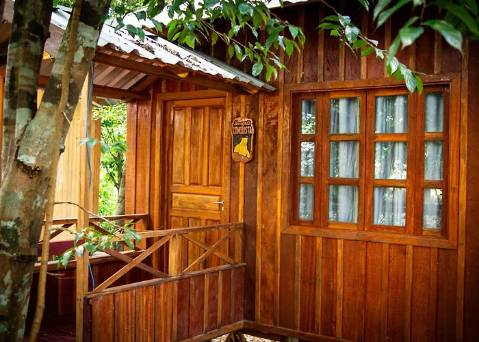 Vista do Lago Jungle Lodge
