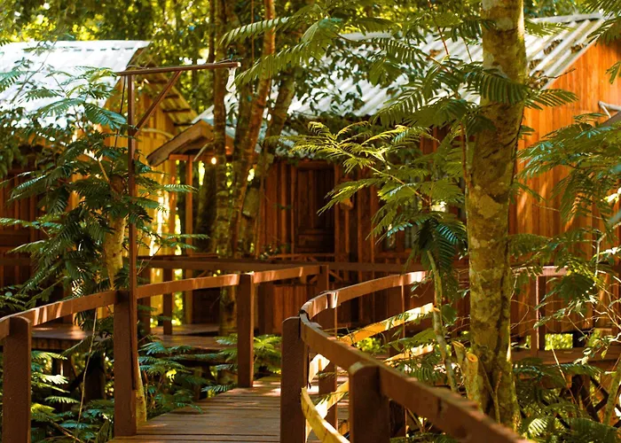 Vista do Lago Jungle Lodge