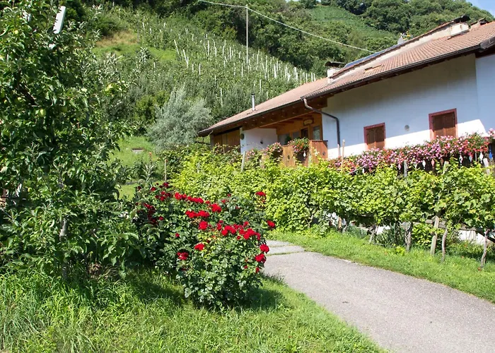 Apartment Toni - Obermoesslhof