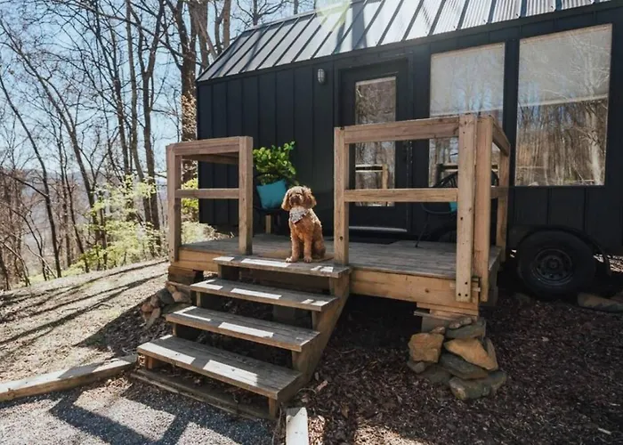 Japandi - Scandinavian Retreat, Mountain View, And 20 Minutes To Asheville