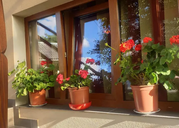 Casa Monika Ciocarliei