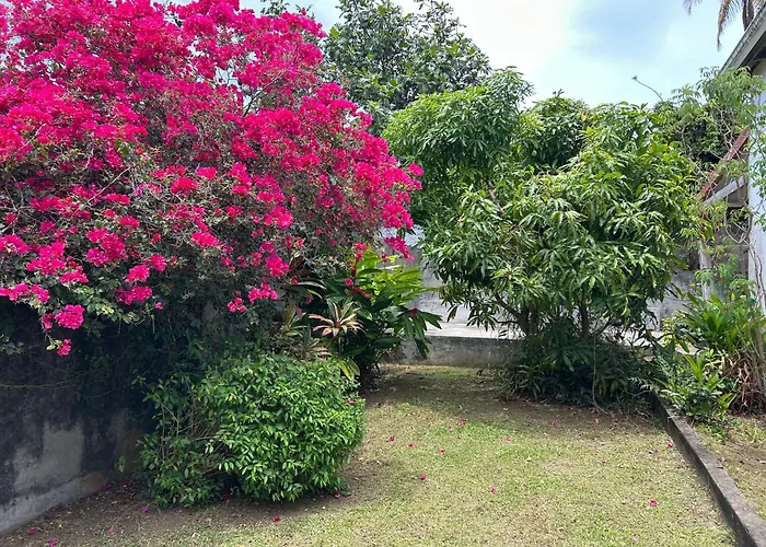 Maison Petit Paradis