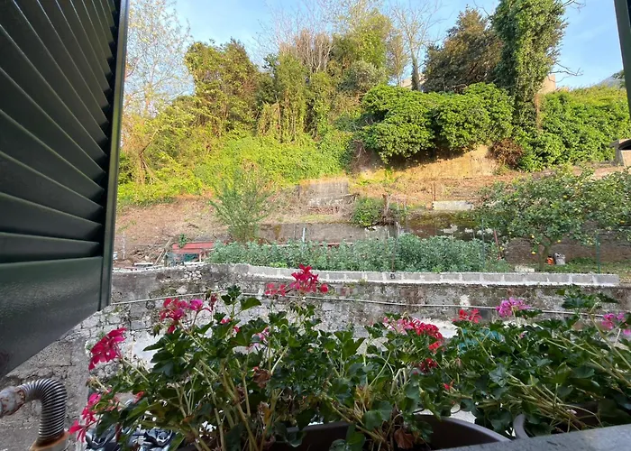 Sweet Home Quisisana