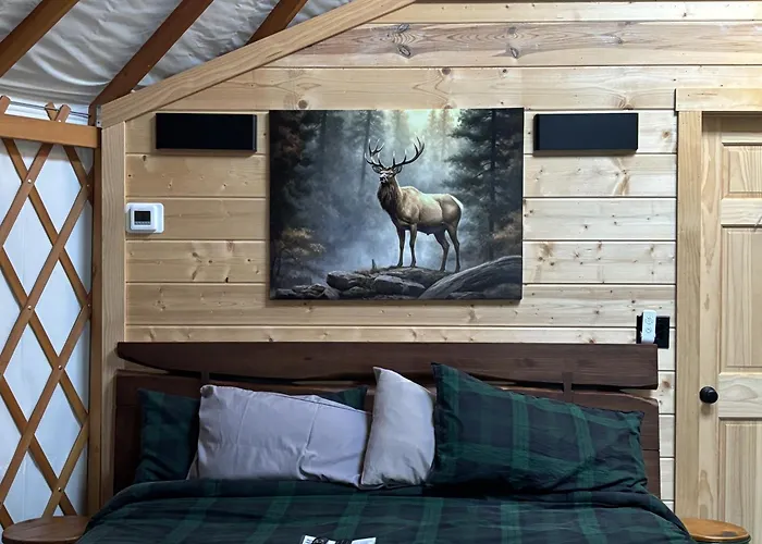 Maggie Valley Cabin Rentals