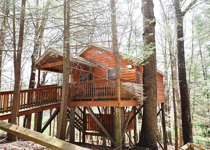 The Cabins At Pine Haven - Beckley
