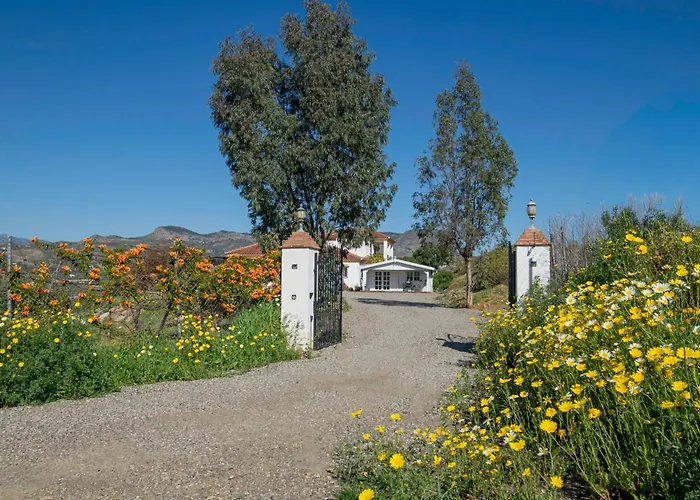 Finca Feliz Andaluz