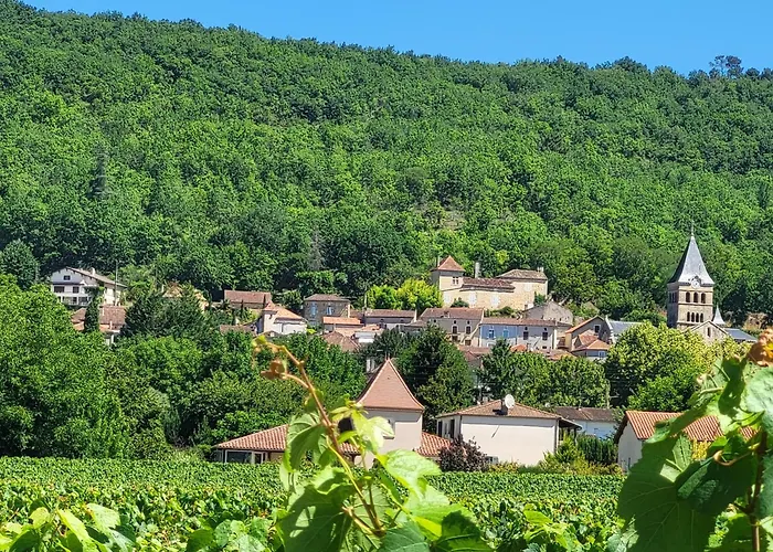 Le Clos Des Figuiers - 3 Gites De Caractere