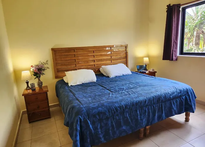 Coral Island Suites Cozumel