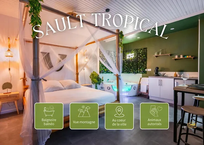 Sault Tropical - Ideal Couple - Balneo Led - Vue Parc & Montagne - Wifi - Stationnement Gratuit - 5Min A Pied Des Bars, Restaurants & Commerces