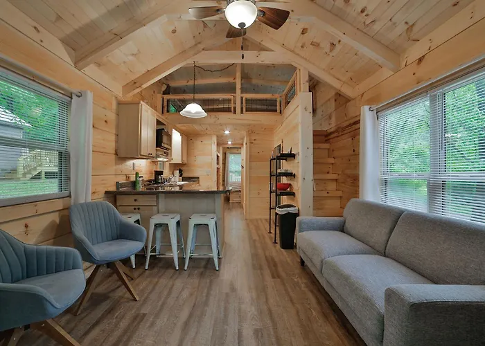 Lena Cabin Wooded Tiny Cabin - Hot Tub