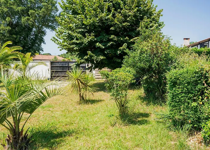 Jolie Maison Landaise Avec Piscine