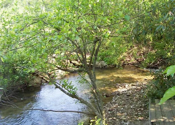 Cabin In The Woods-Peaceful 1Br 20-Acre Rural Retreat-Hottub&Wifi Near Asheville