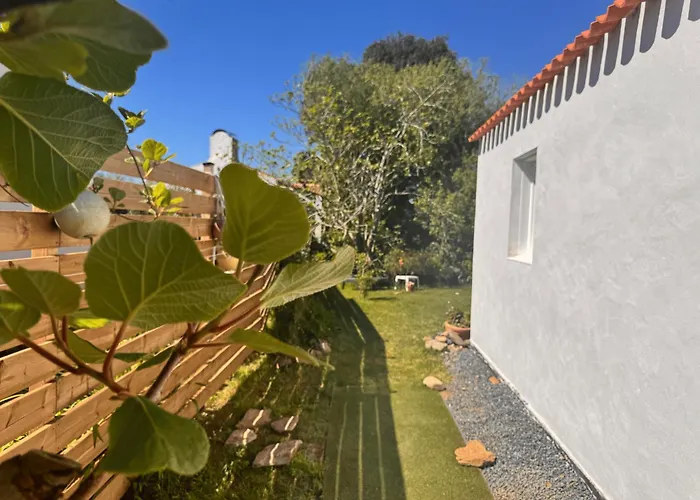 Coup De Coeur ! Maisonnette Neuve A 300 M Du Port Et De La Plage