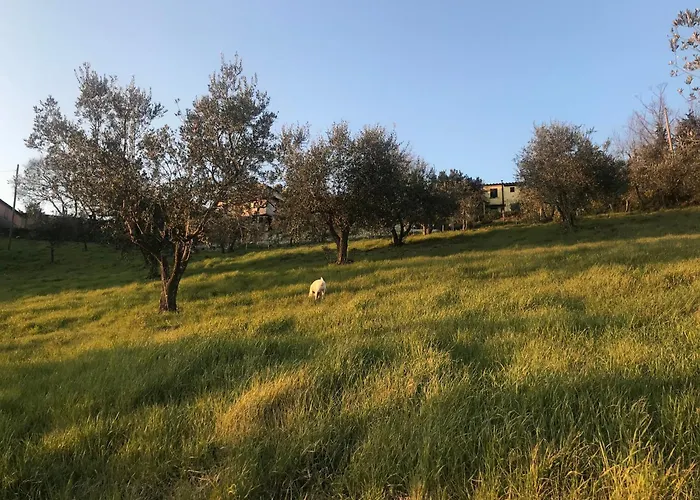 La Casina Di Stella