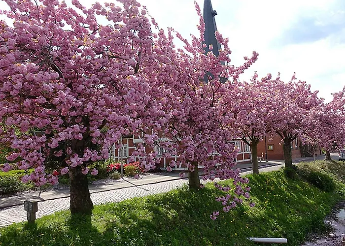 Ferienwohnung Rudis Obstgarten