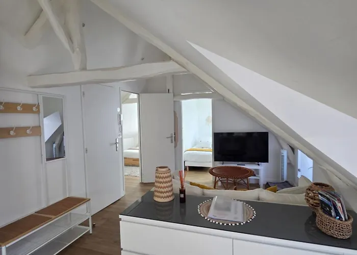 Santorin, Appartement Lumineux Au Coeur De Vannes