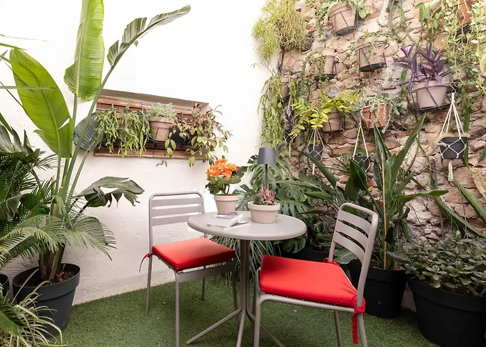 Les Petits Volets Appartements A 100M De La Mer