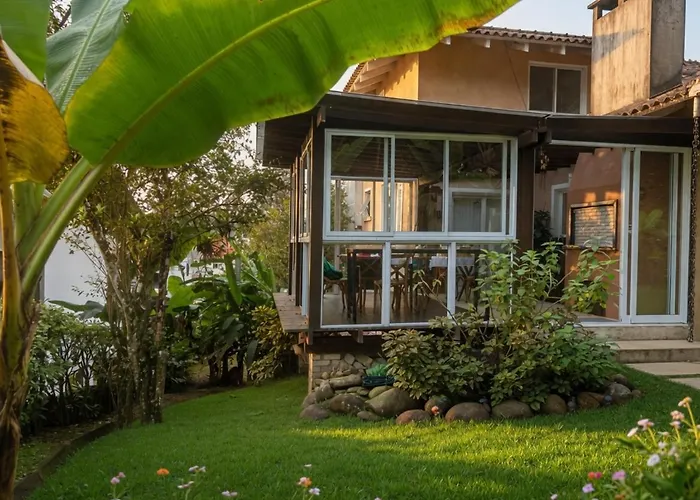 IVVI | Girassol • Aconchego, Natureza e conforto.